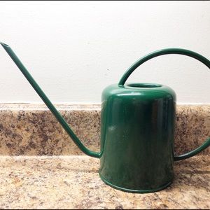 Project 62 Green Watering Can New